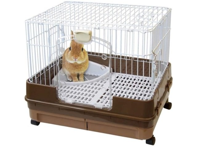 うさぎをケージ飼い